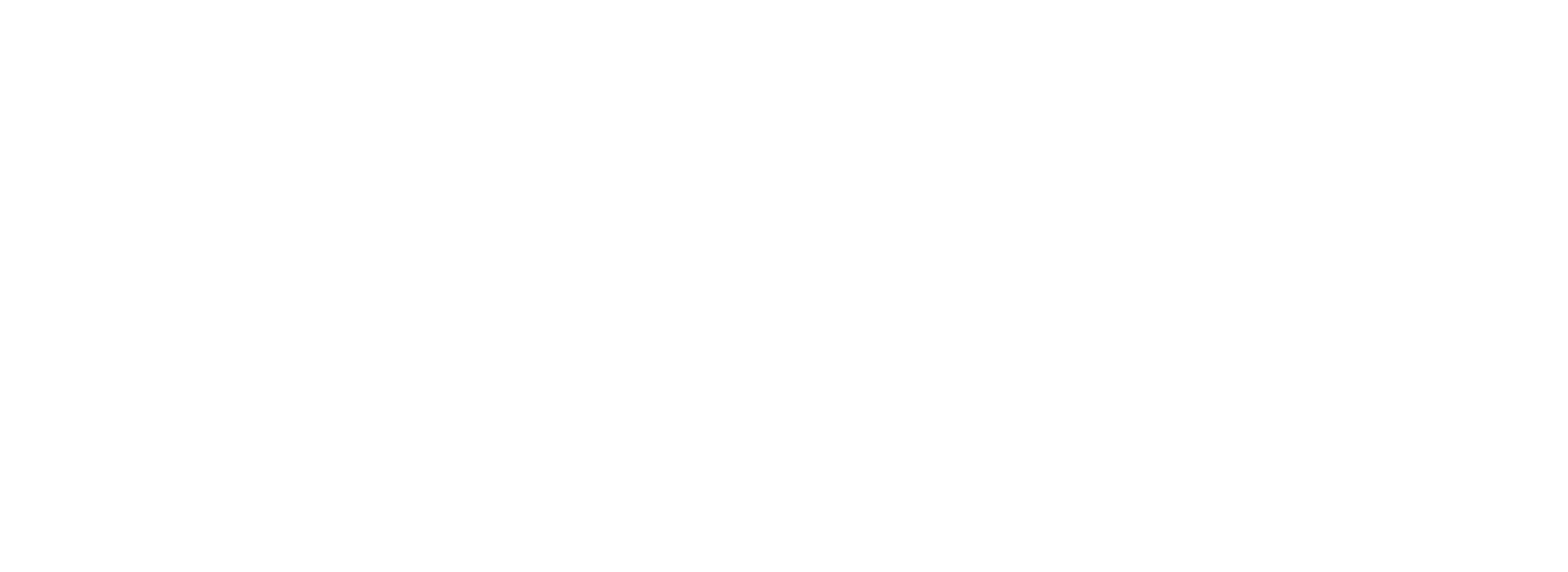 Logo DIMAB Motorsport